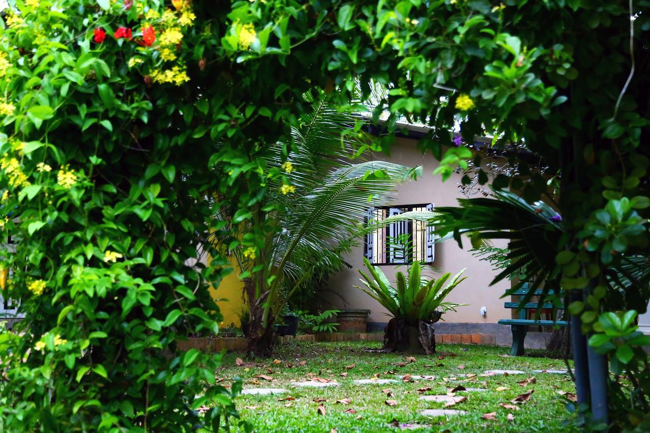 Coconut Villa ミディガマ・イースト エクステリア 写真