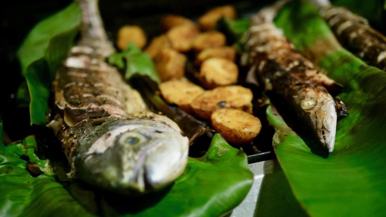 Coconut Villa ミディガマ・イースト エクステリア 写真