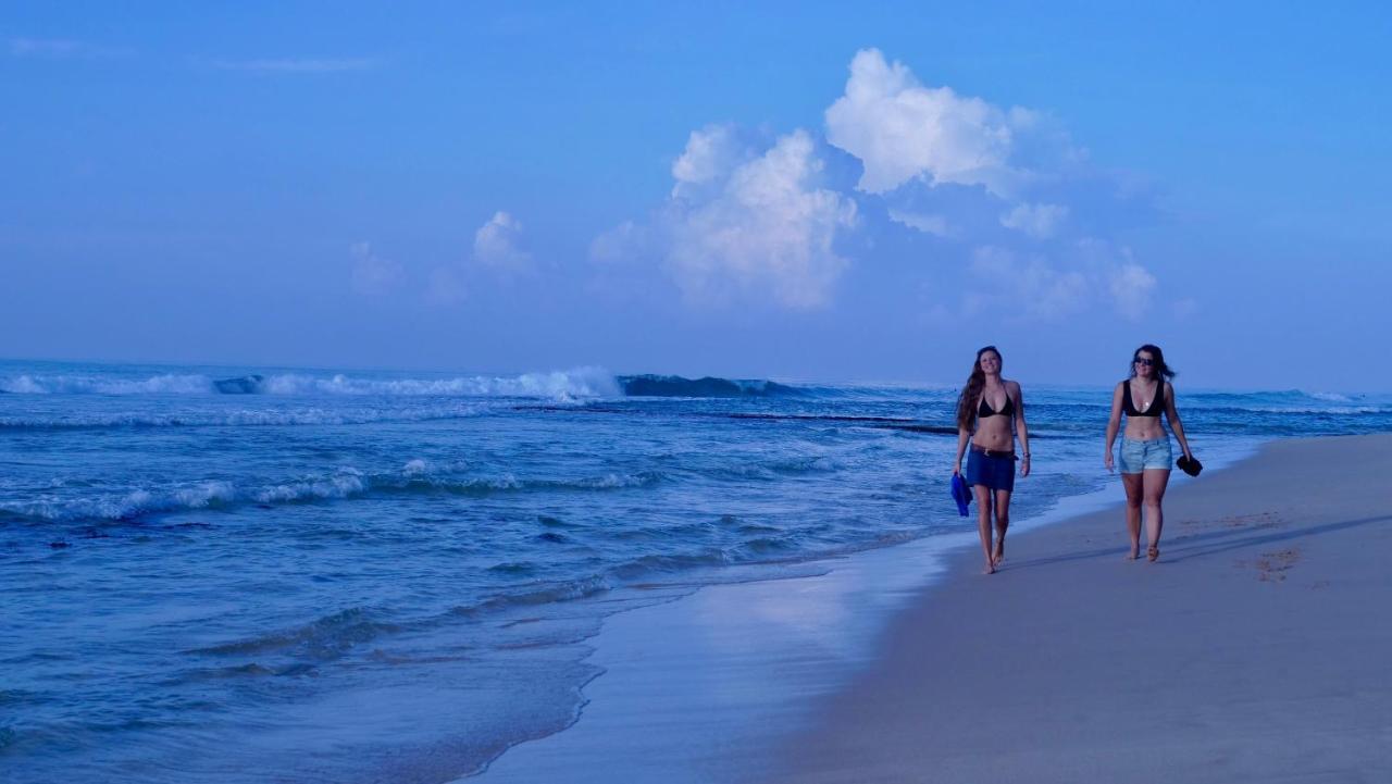 Coconut Villa ミディガマ・イースト エクステリア 写真
