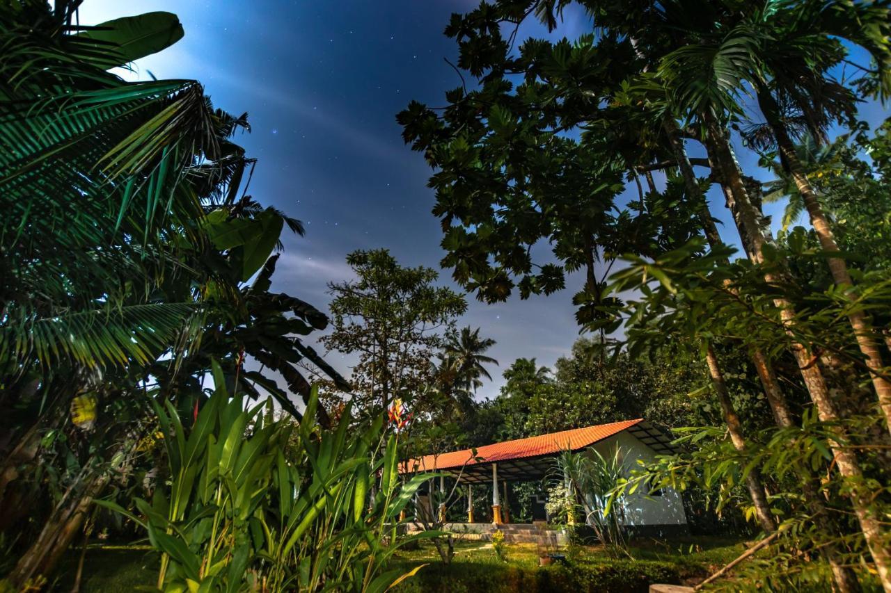 Coconut Villa ミディガマ・イースト エクステリア 写真