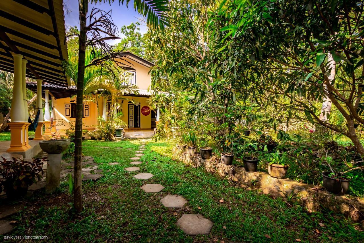 Coconut Villa ミディガマ・イースト エクステリア 写真