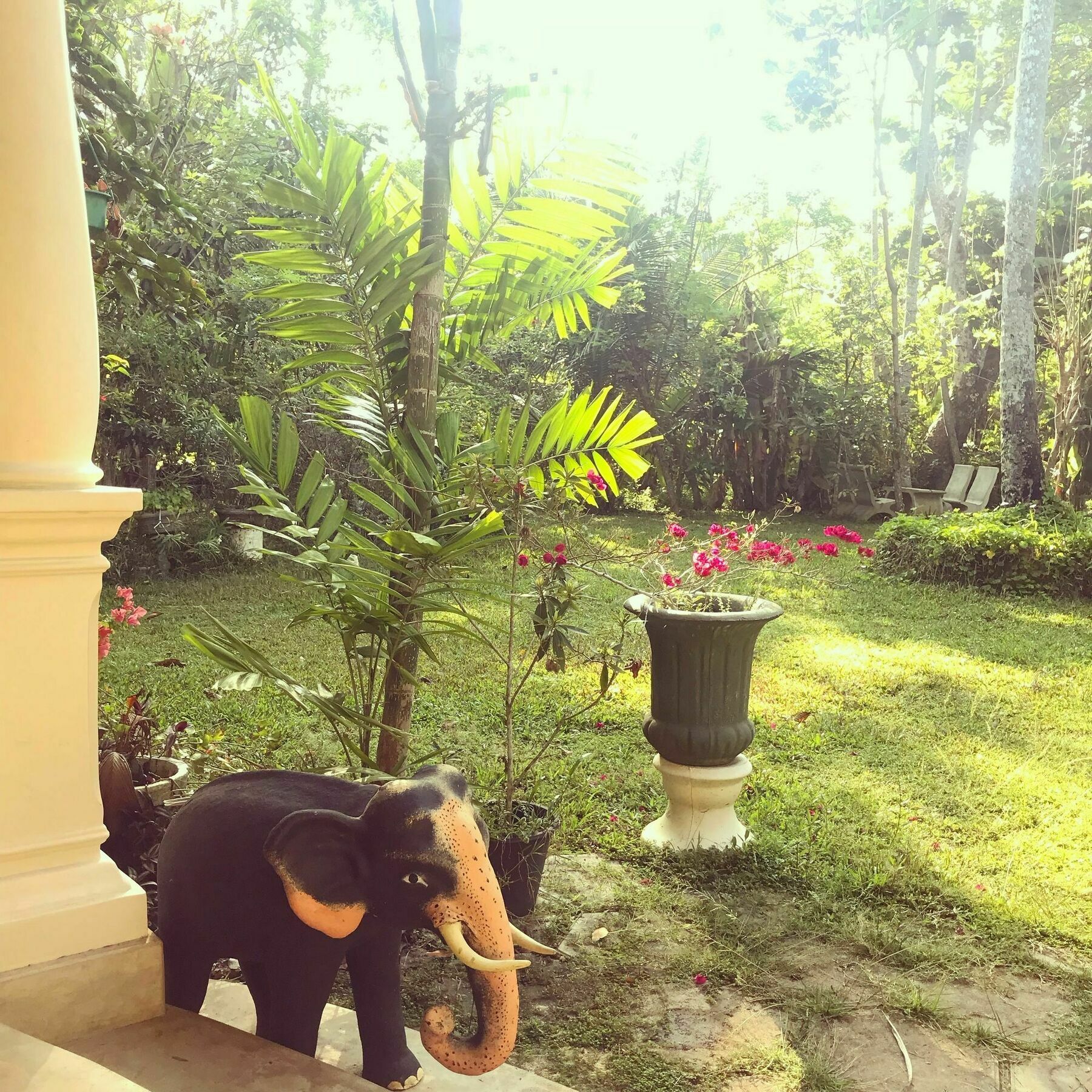 Coconut Villa ミディガマ・イースト エクステリア 写真